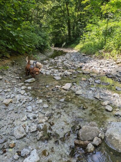 Dogwood Park - Cincinnati, OH