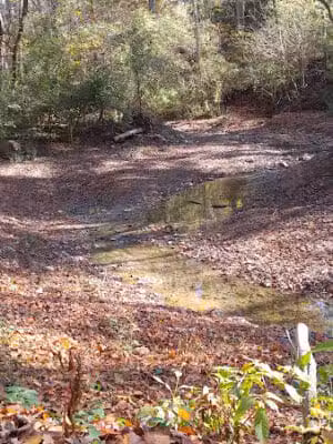 Dogwood Park - Cincinnati, OH