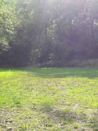 Dogwood Park - Cincinnati, OH