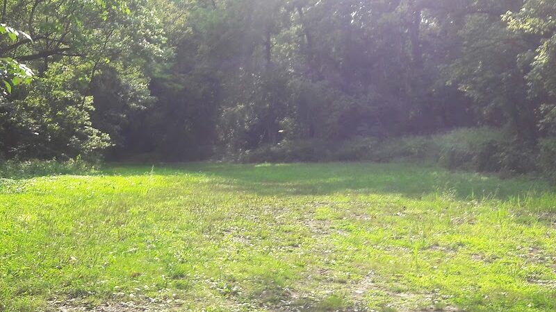 Dogwood Park - Cincinnati, OH