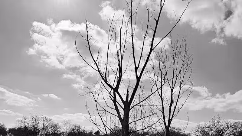 Dunham Recreation Trails - Cincinnati, OH
