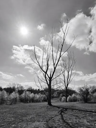 Dunham Recreation Trails - Cincinnati, OH