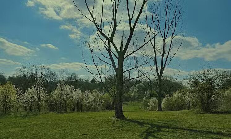 Dunham Recreation Trails - Cincinnati, OH