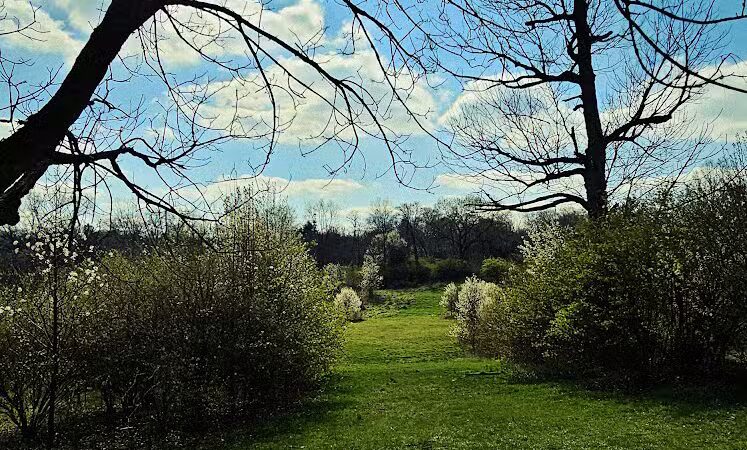 Dunham Recreation Trails - Cincinnati, OH