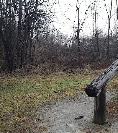 Embshoff Woods - Cincinnati, OH