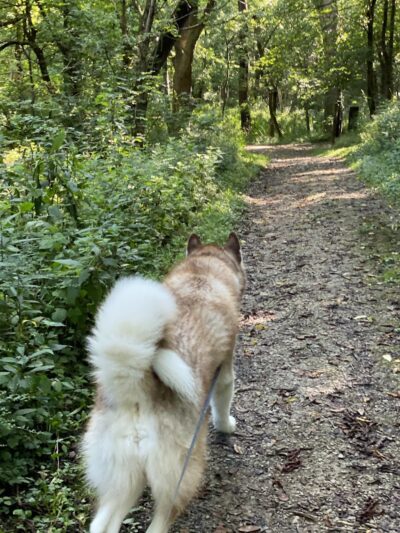 Embshoff Woods - Cincinnati, OH