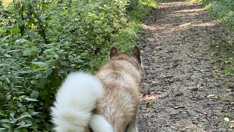 Embshoff Woods - Cincinnati, OH