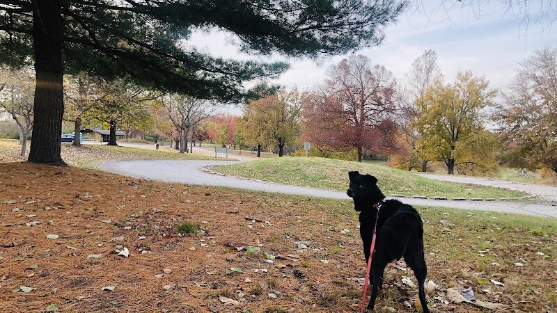 Embshoff Woods - Cincinnati, OH