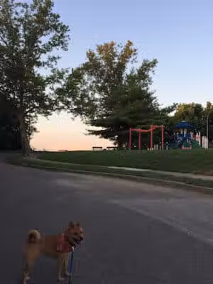 Fairview Park - Cincinnati, OH