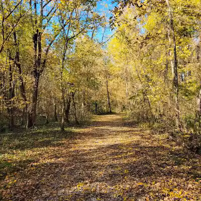 Fernbank Park - Cincinnati, OH