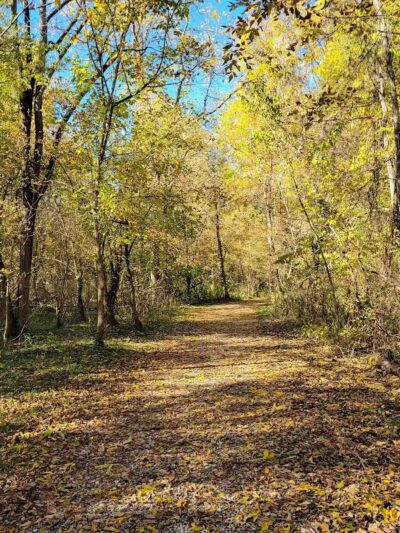 Fernbank Park - Cincinnati, OH