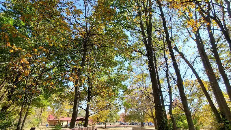 Fernbank Park - Cincinnati, OH