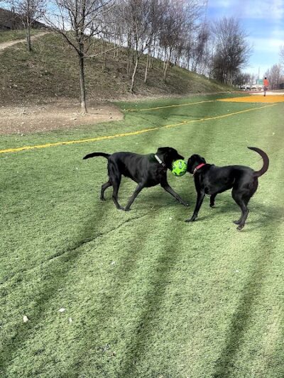 Fido Field - Cincinnati, OH