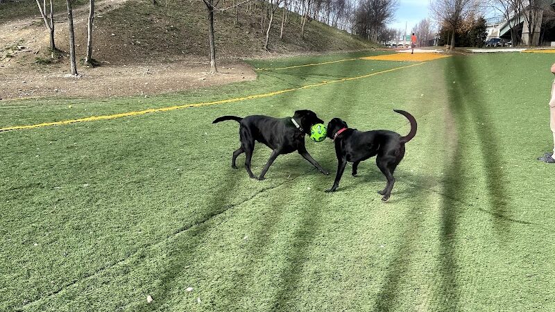 Fido Field - Cincinnati, OH