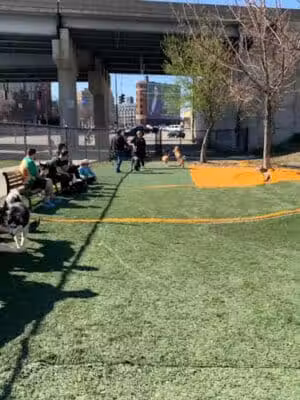 Fido Field - Cincinnati, OH