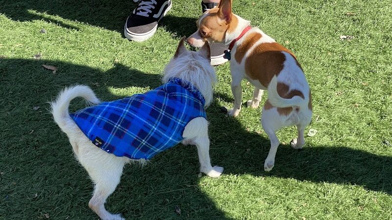 Fido Field - Cincinnati, OH