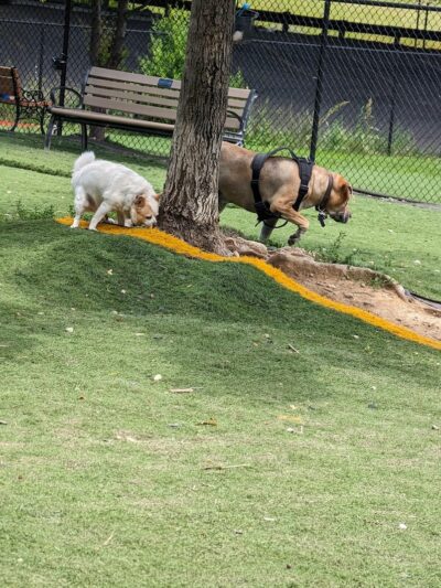 Fido Field - Cincinnati, OH