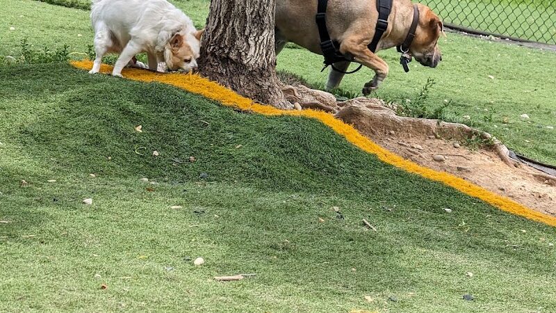 Fido Field - Cincinnati, OH