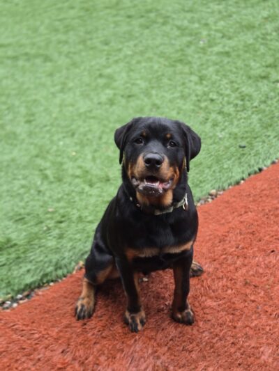 Fido Field - Cincinnati, OH