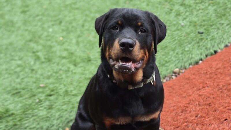 Fido Field - Cincinnati, OH