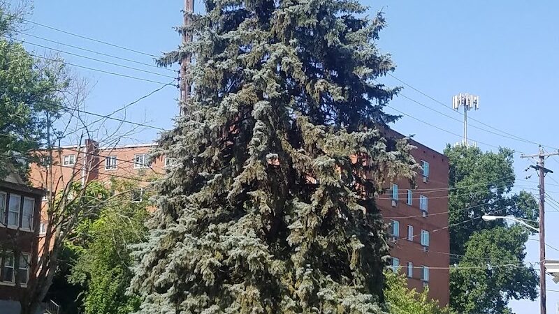 Fleischmann Gardens - Cincinnati, OH