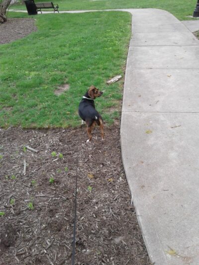 Fleischmann Gardens - Cincinnati, OH