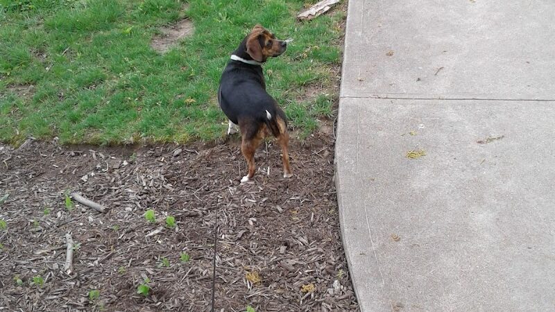 Fleischmann Gardens - Cincinnati, OH