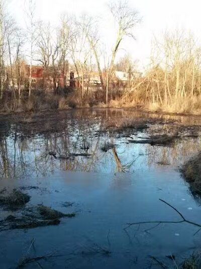 Forest Avenue Wetland Park - Cincinnati, OH