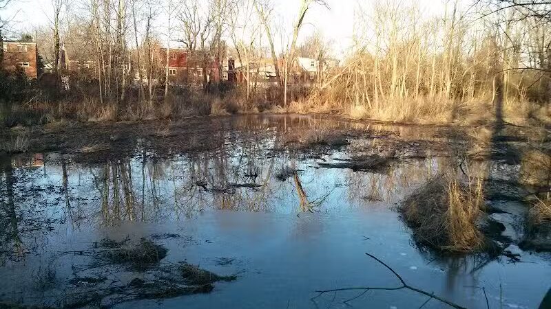 Forest Avenue Wetland Park - Cincinnati, OH