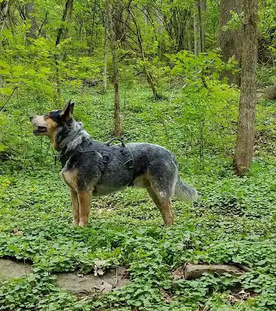Fox Preserve - Cincinnati, OH