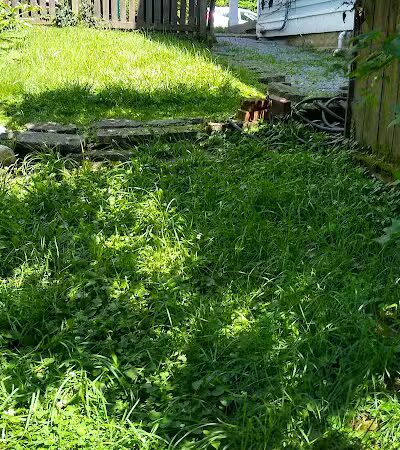 Fox Preserve - Cincinnati, OH