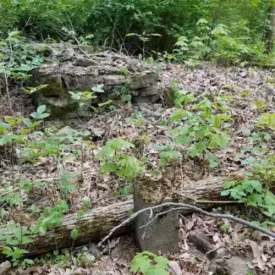 Fox Preserve - Cincinnati, OH