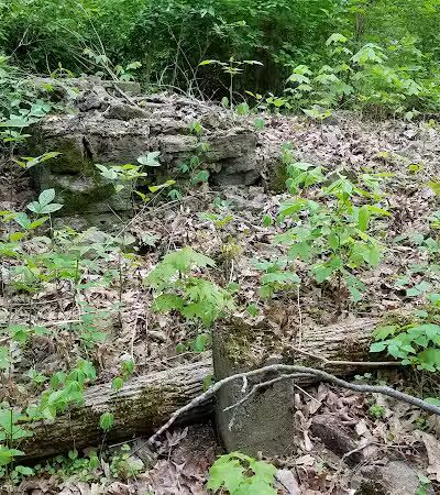 Fox Preserve - Cincinnati, OH