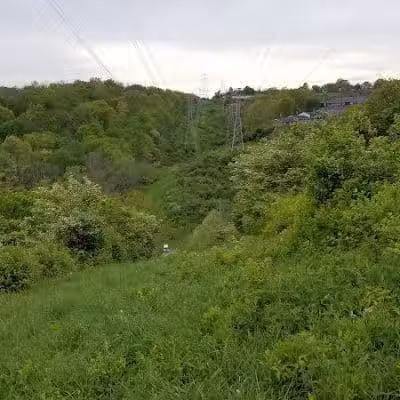 Fox Preserve - Cincinnati, OH