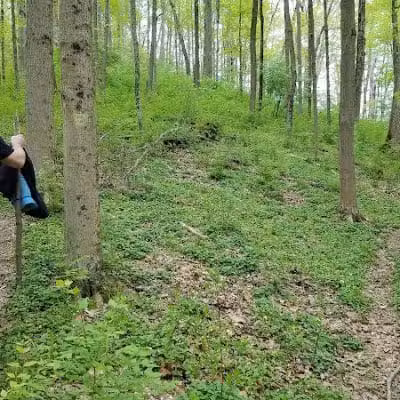 Fox Preserve - Cincinnati, OH