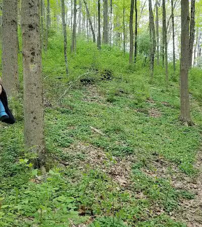 Fox Preserve - Cincinnati, OH