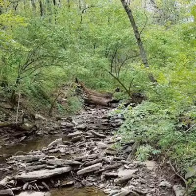 Fox Preserve - Cincinnati, OH