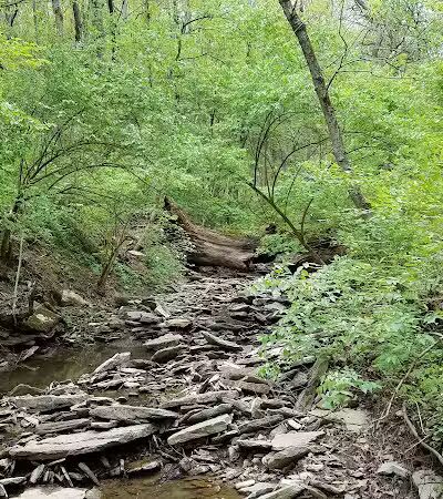 Fox Preserve - Cincinnati, OH