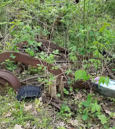 Fox Preserve - Cincinnati, OH