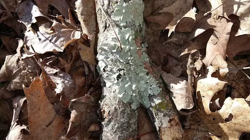 Fox Preserve - Cincinnati, OH