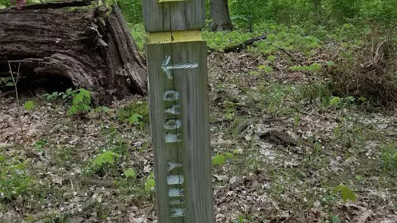 Fox Preserve - Cincinnati, OH