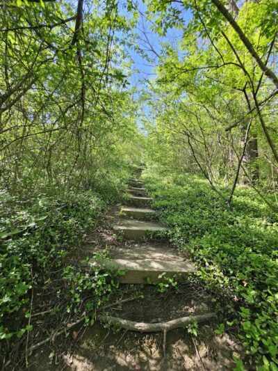 French Park - Cincinnati, OH