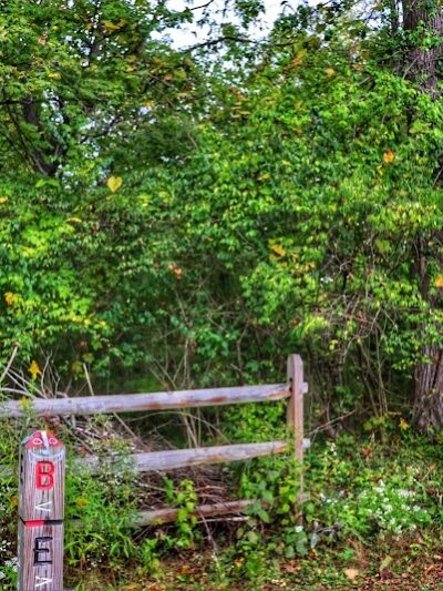 French Park - Cincinnati, OH