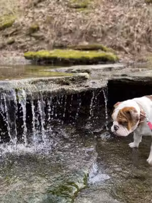 French Park - Cincinnati, OH