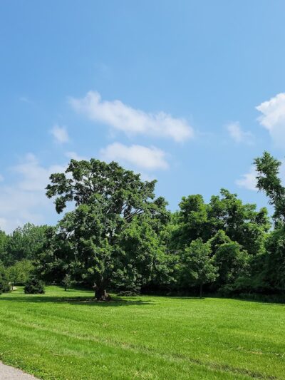 French Park - Cincinnati, OH