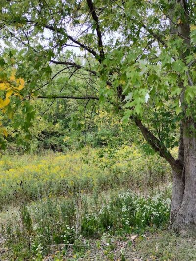 French Park - Cincinnati, OH