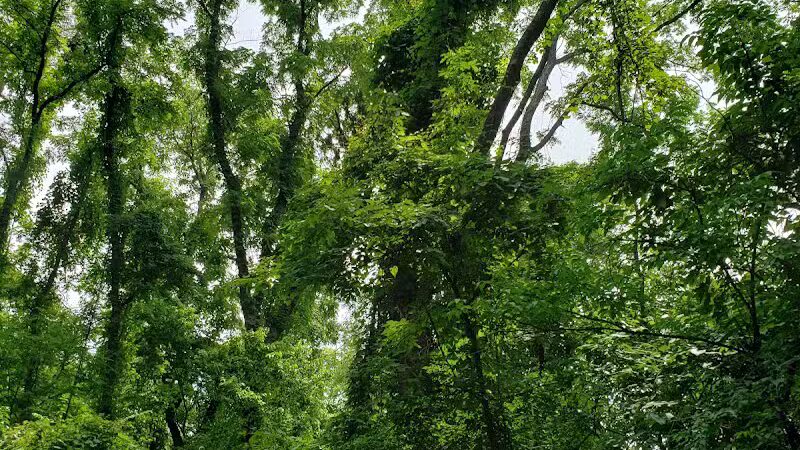 French Park Shelter - Cincinnati, OH