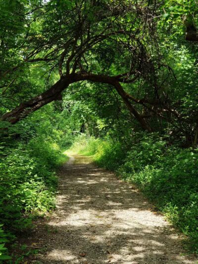 French Park Shelter - Cincinnati, OH