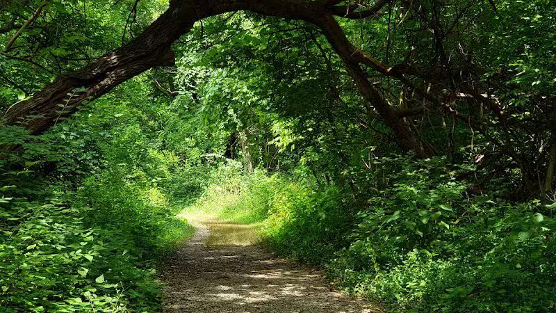 French Park Shelter - Cincinnati, OH