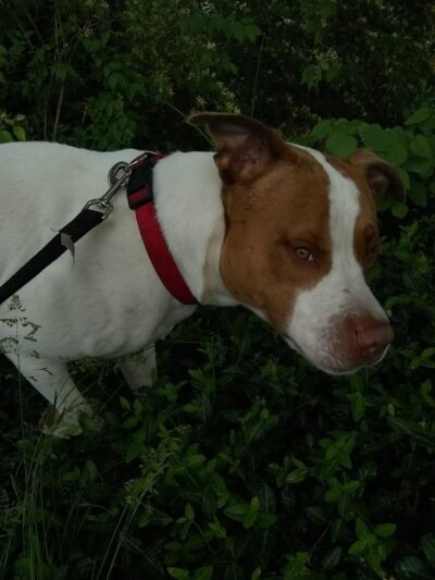 Glenway Park - Cincinnati, OH